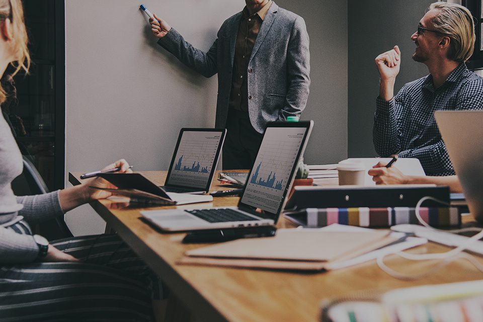 SOFT1 ERP Consultant