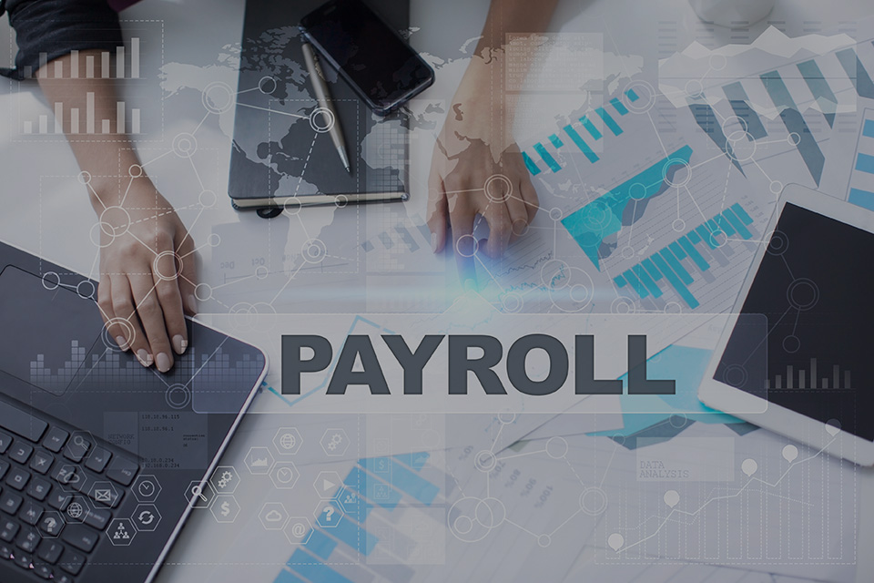 SOFT1 Payroll Consultant
